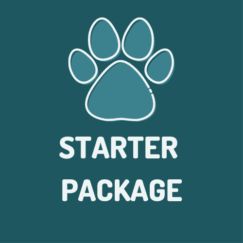 Rabbit Starter Package - Indoor & Outdoor Bunny Essentials Bundle