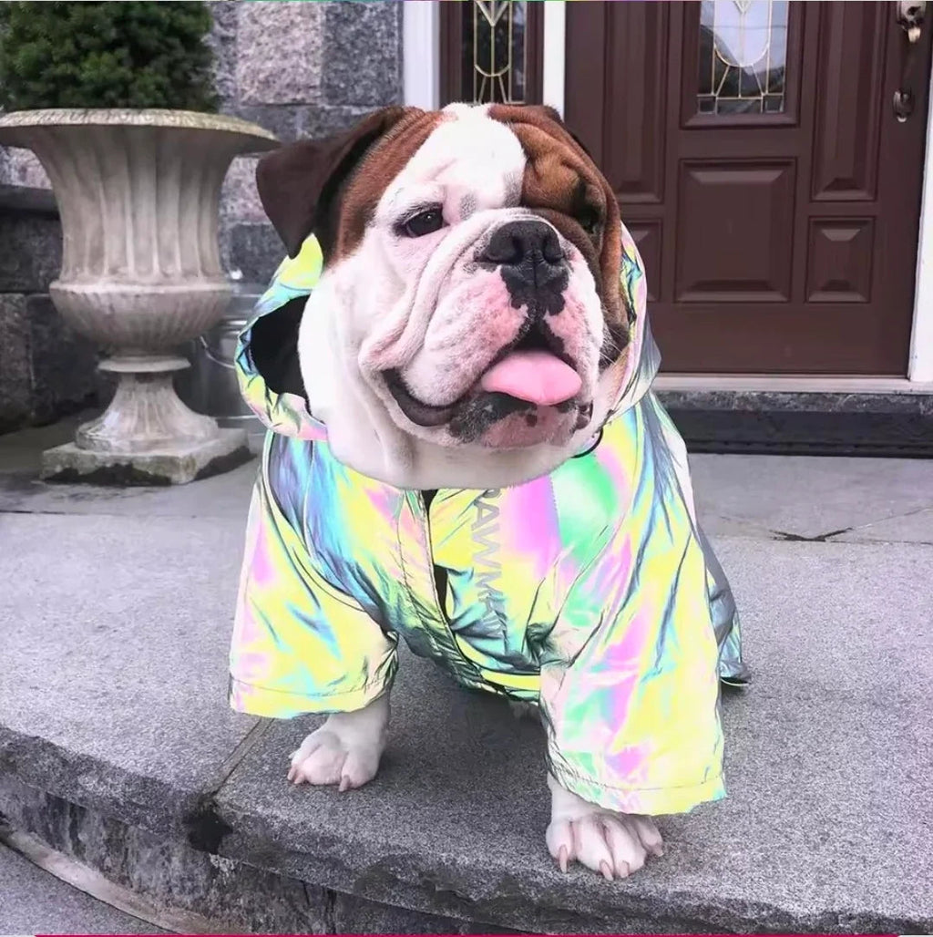 Dog Shack Flash! Dog Coat