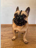 Dog Muzzle for French Bulldog "Frenchies" a Other similar snouts short snout