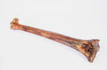 Doodles Deli Air Dried Ostrich Mini Caveman Bone