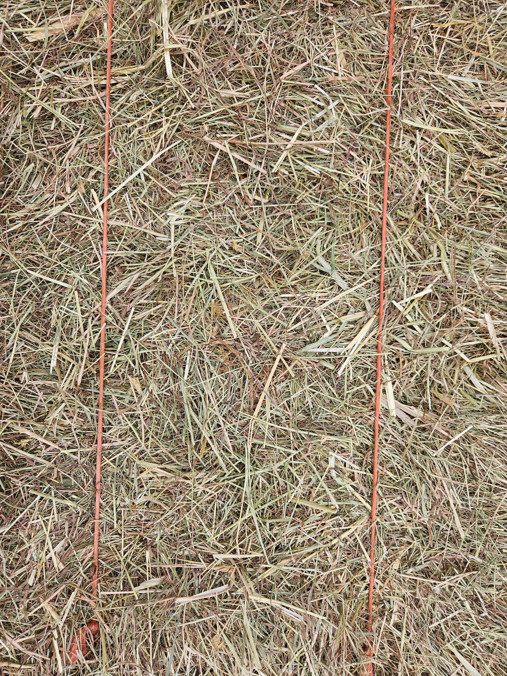 Meadow Hay Bale - North East Pets