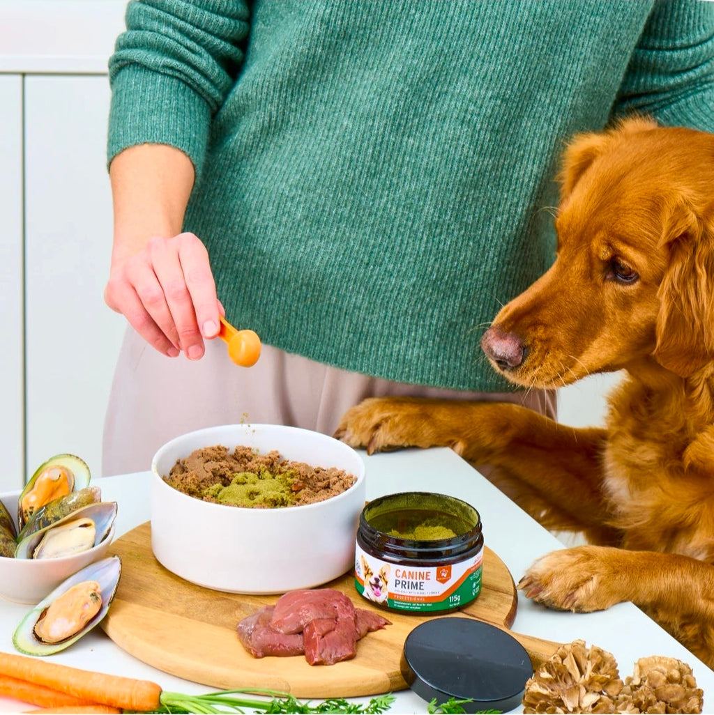 Canine Prime
40-in-1 superfood supplement
