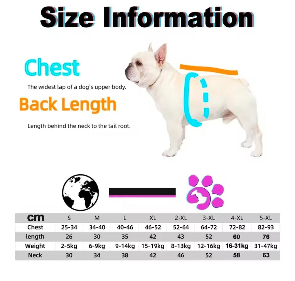 Dog Shack Flash! Dog Coat