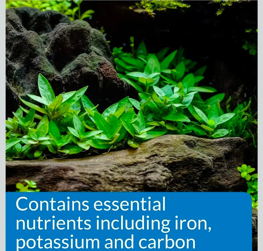 API ROOT TABS Freshwater Aquarium Plant Fertilizer 13 g 10-Count Box