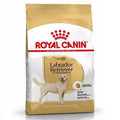 Royal Canin Labrador Retriever Adult 12kg