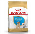 Royal Canin Labrador Retriever Puppy 3kg