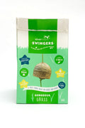 Silvermoor Swingers Gorgeous Grass Ball