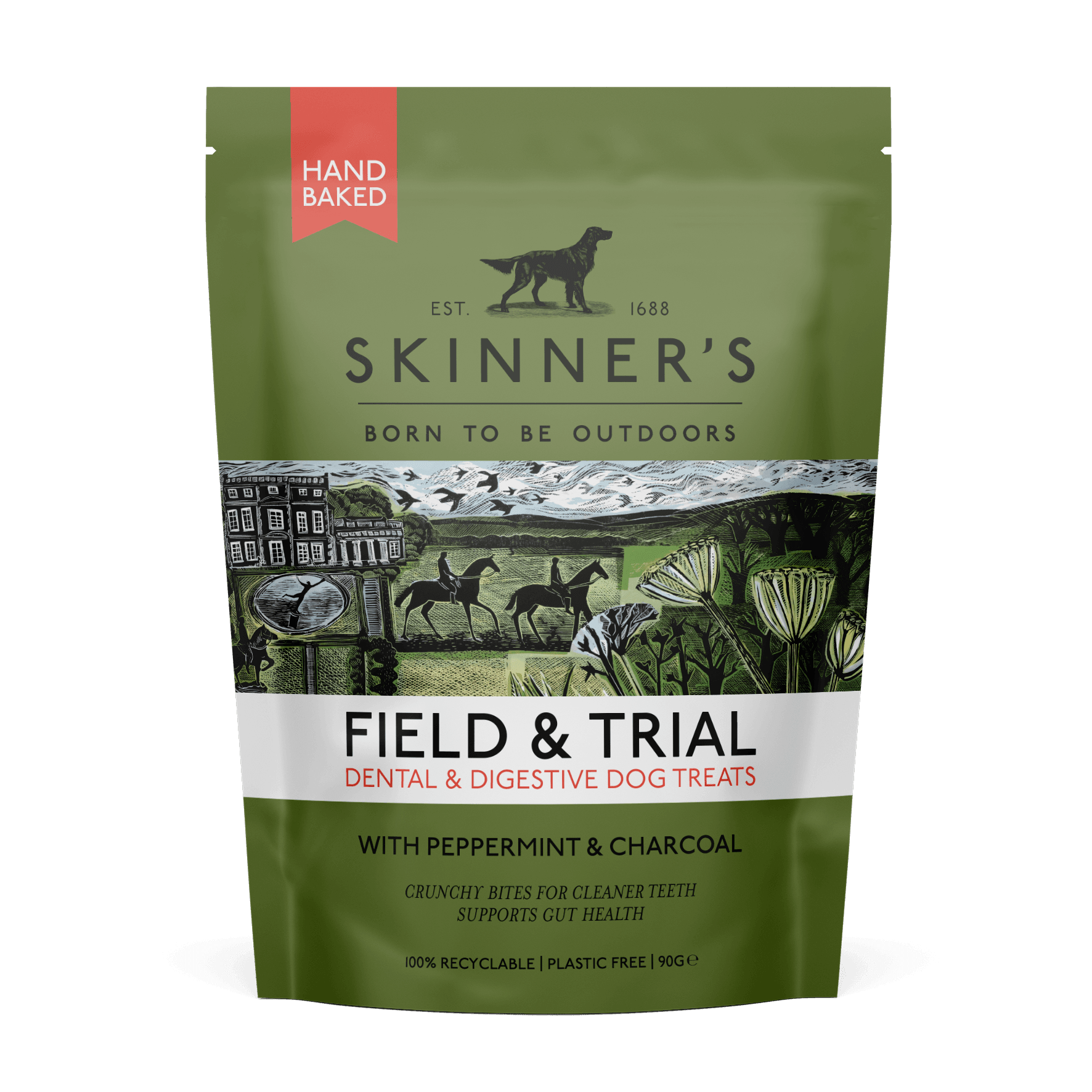 Skinners Field & Trial Dental & Digestive Dog Treats 90g