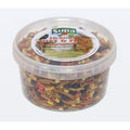 Supa Suet Fruit Mealworm Platter, 500ml