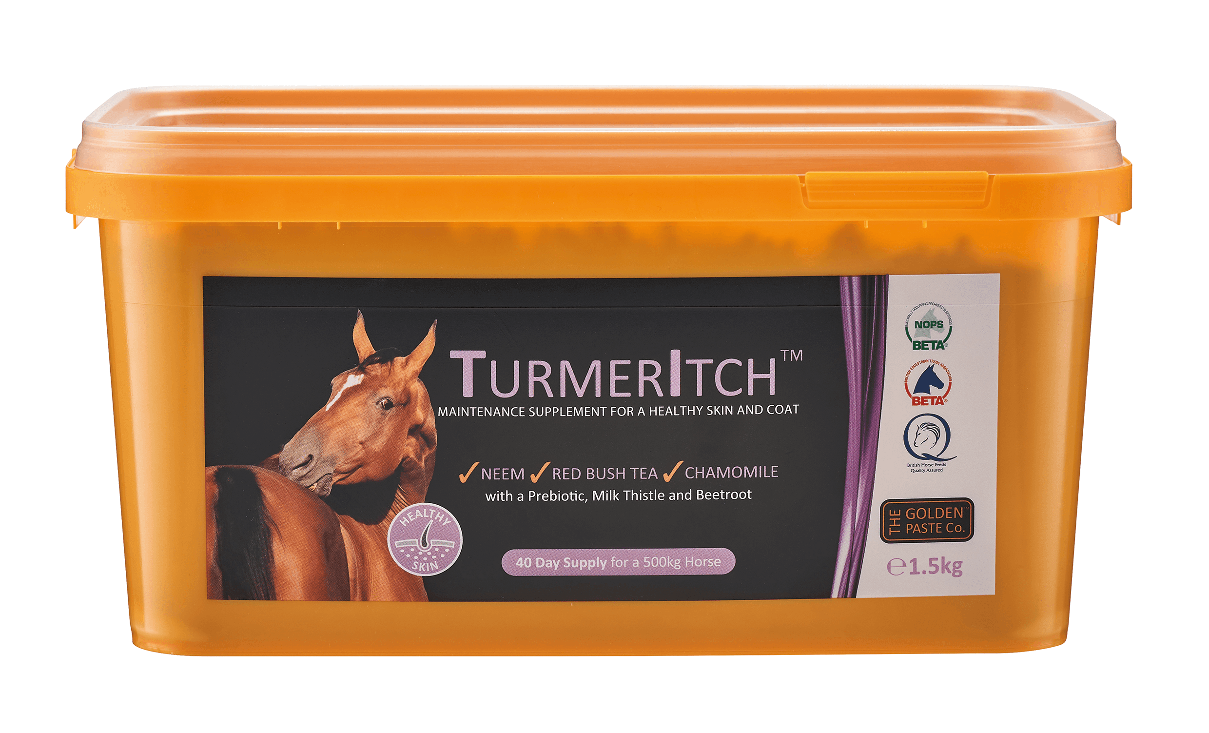 The Golden Paste Co TurmerItch