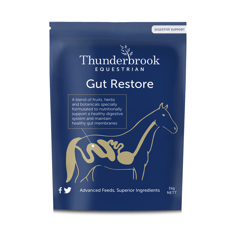 Thunderbrook Equestrian Gut Restore 3kg