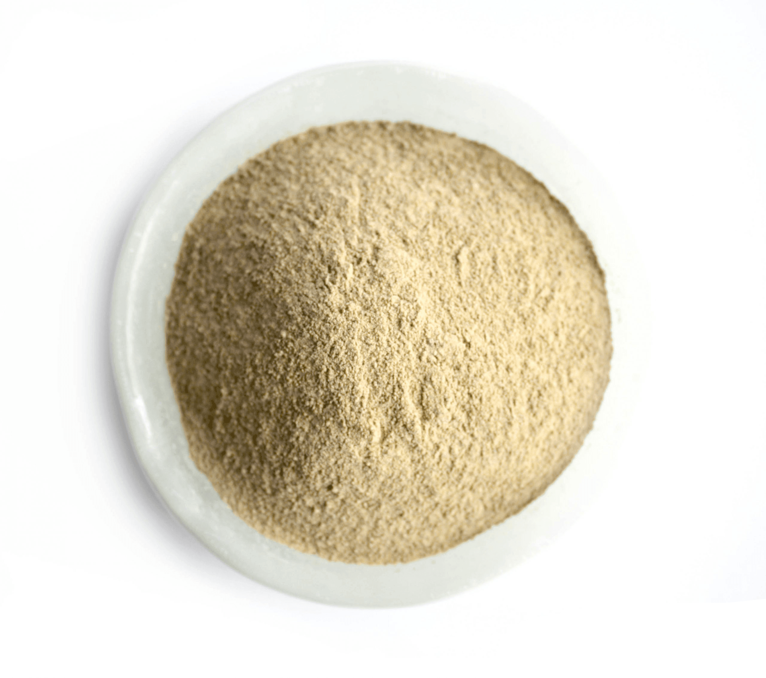 Thunderbrook Mycosorb A+ 1kg