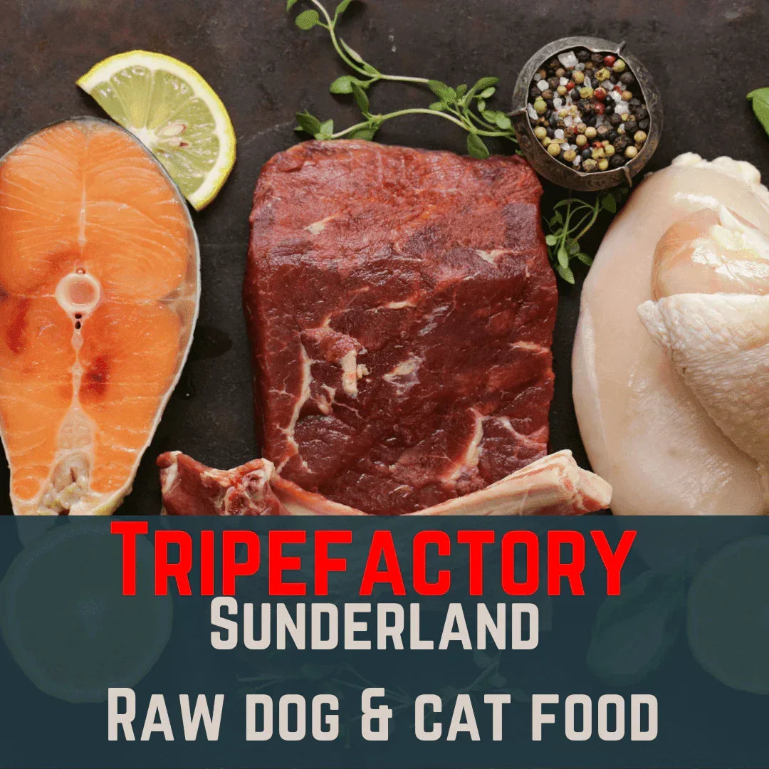 Tripefactory Sunderland - 1lb (Single) - Raw Dog & Cat Food – 250g