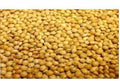 Versele Laga French Yellow Millet