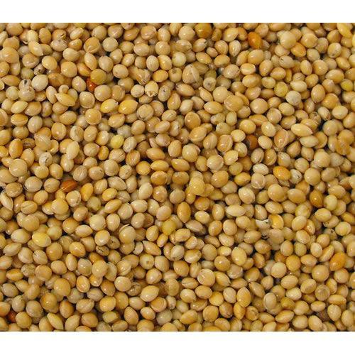 Versele Laga Milletseed Yellow
