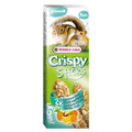 Versele Laga Stick Hamster & Squirrel Fruit 110g