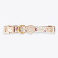 Wyld Cub - Adjustable Dog Collar: Chiswick Oyster