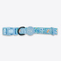 Wyld Cub - Adjustable Dog Collar: Notting Hill Sky