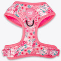 Wyld Cub - Adjustable Dog Harness: Notting Hill Rosé