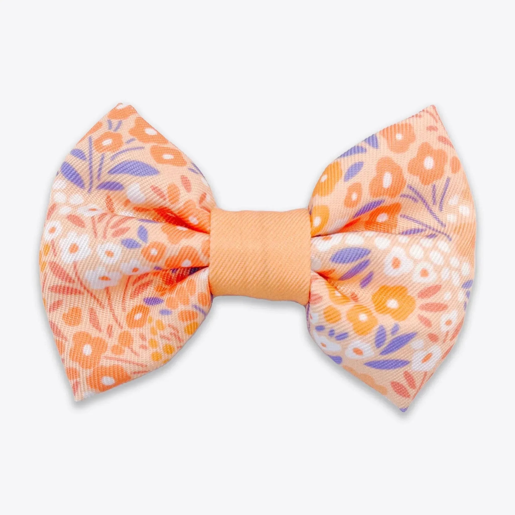 Wyld Cub - Dog Bow Tie: Notting Hill Buttercup