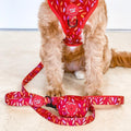 Wyld Cub - Dog Poop Bag Holder: Hampstead Fireside
